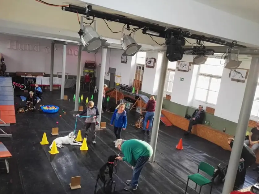 Hundeschule Iserlohn, Hundeausbildung, Kai Dahlhaus, MK ,Iserlohn